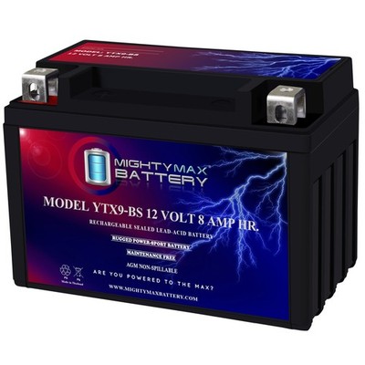 Mighty Max YTX9-BS -12 Volt 8 AH, 135 CCA, Rechargeable Maintenance Free SLA AGM