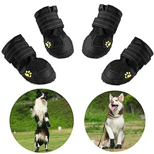 ebay dog boots