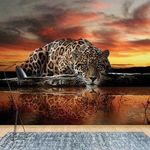 Bzdhwwh Seidenwandbild Wandtattoos 3d Nashorn Wandbild Cartoon