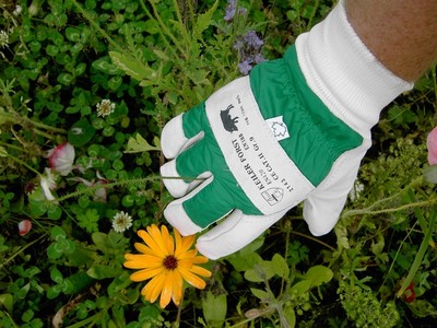 Forst Handschuhe - Die 16 besten Produkte im Vergleich Forst Handschuhe - Die 16 besten Produkte im Vergleich