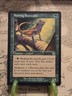 MTG Basking Rootwalla Torment Regular Common NM