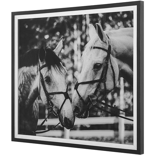 Uttermost 41465 Apple Of My Eye 40 X 36 inch Framed Print - Picture 3 of 7