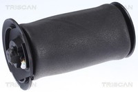 Triscan 8720 11202 Luftfeder, Fahrwerk FüR BMW