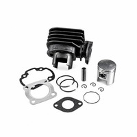 Tnt Zylinderkit F. Morini Motor 50Ccm (FüR: Suzuki Ah 50 Address CA1GA 92-95 )