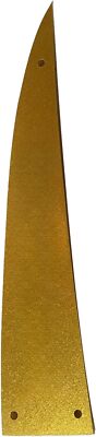 Gold Truss Rod Cover for Rickenbacker Bass Electric Guitar with Screws