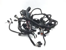 Main Engine Wiring Harness 2002 Harley-Davidson V-Rod VRSCA 3232