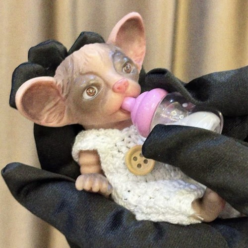 Silicone Sphynx Hairless Cat Kitten 11cm Micro Mini Doll Reborn Realistic Pet - Picture 9 of 9