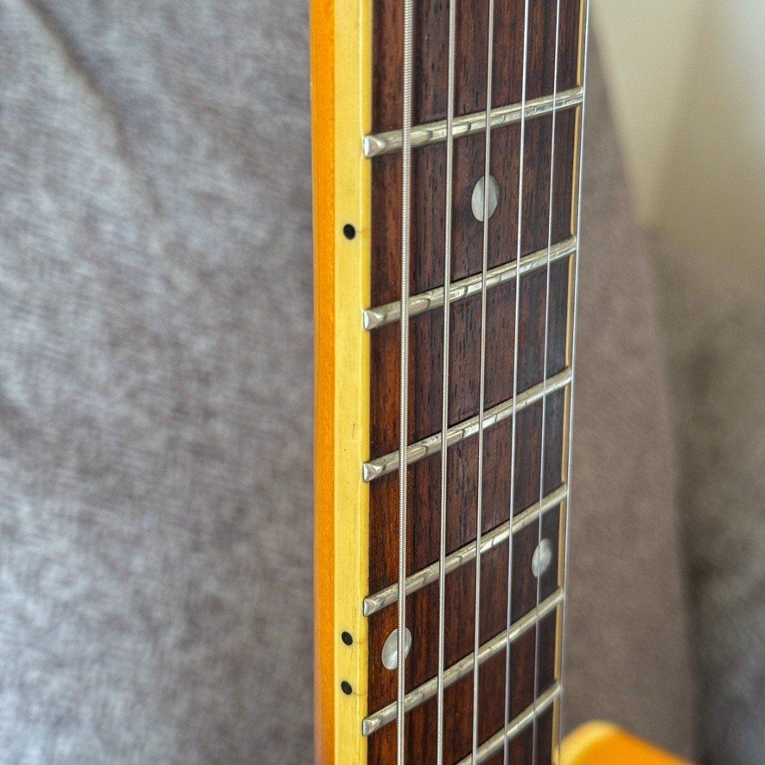Burny / Fernandes RSA-65 Semi-Hollow Body Dot Sunburst | eBay