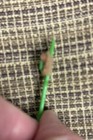 Lot of 3 Barbie Play Paks Get Aways 1978 Mattel #2317 Hairdryer brush makeup — photo 9