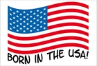 2 x stickers - BORN IN THE USA - sticker 10x7cm AMERICAN FLAG