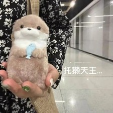 New 11cm Otter Doll Cute Little Otter Little Animal Plush Toy Cute Internet Red