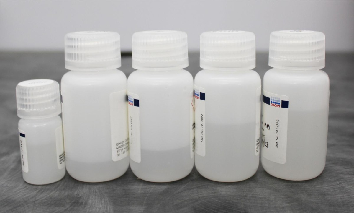 QIAGEN 80204 AllPrep DNA/RNA Purification Tissue Mini Kit 33