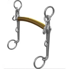 Neue Schule Thoroughbred Weymouth