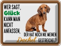 Blechschild 30X40 Cm Wer Sagt GlüCk Dackel Hund Spruch Zitat Deko Geschenk Metal