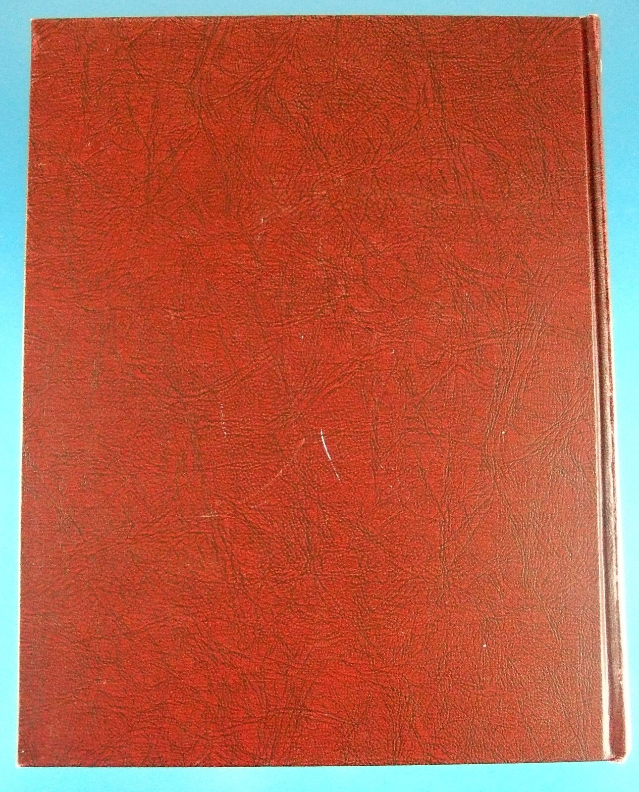 Picture 15 of 16