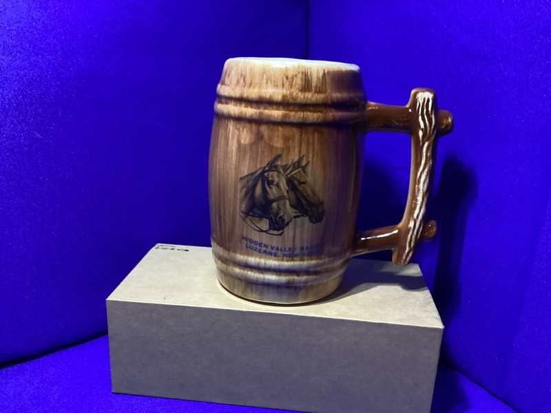 Vtg Hidden Valley Ranch Luzerne, NY  Beer Mug