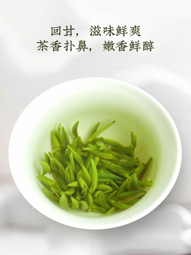 Sichuan Ming Qian Silver Jar Que She Tea Sparrow's Tongue Chinese Green Tea 100g - Picture 4 of 11