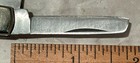 Parker Cutlery Co Congress Pocketknife, 4 Blade, Strawberry Bone, 3 5/8” Closed — photo 9
