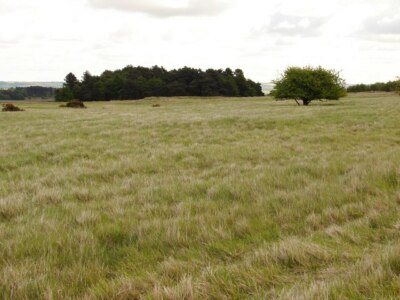 Foto 6x4 Risby Warren High Risby Gesamtansicht über diesen öffentlichen Zugang c2009