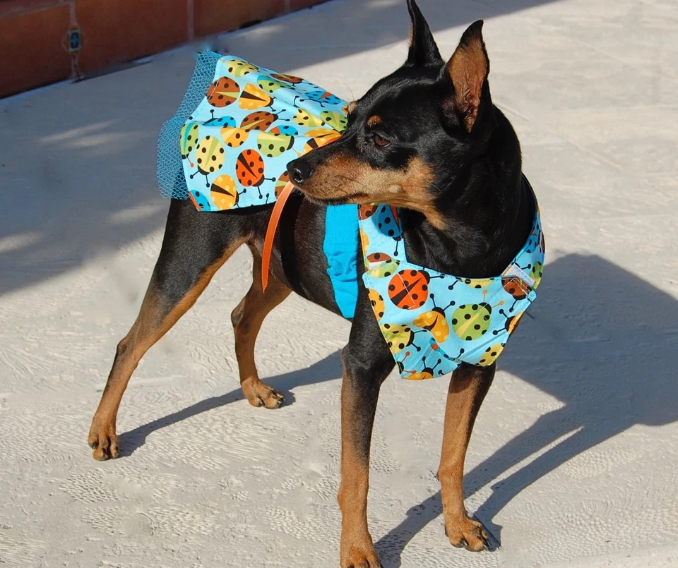 Vestido azul o dorado/multi estampado Ladybug para perro XS-M hecho en EE. UU. perros cachorros, Foto 3 de 4