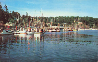 Fishing Fleets Pacific Northwest P6238 Smith's Williams Plastichrome Postcard