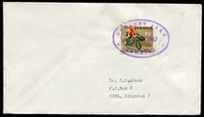 JAMAICA (23895): DUHANEY PARK TRD cancel purple on cover