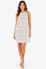 NWT White House Black Market Lace Shift Dress 14 Ecru Bridal Shower Honeymoon