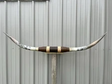 MOUNTED STEER HORNS  6 feet 3 Inches LONGHORN POLISHED MOUNT BULL COW