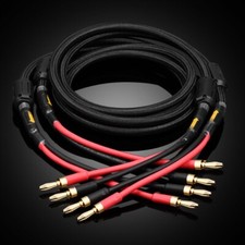 Paar OFC Versilbert Kabel Vergoldet Stecker H...