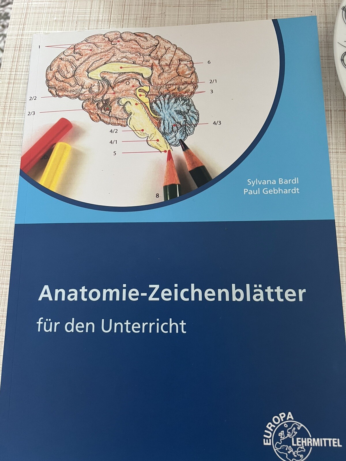 Thumbnail - Anatomie Zeichenblätter. Lösungsheft Von Paul Gebhardt (2016,