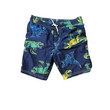 Boys Dinosaur Trunk Size 6