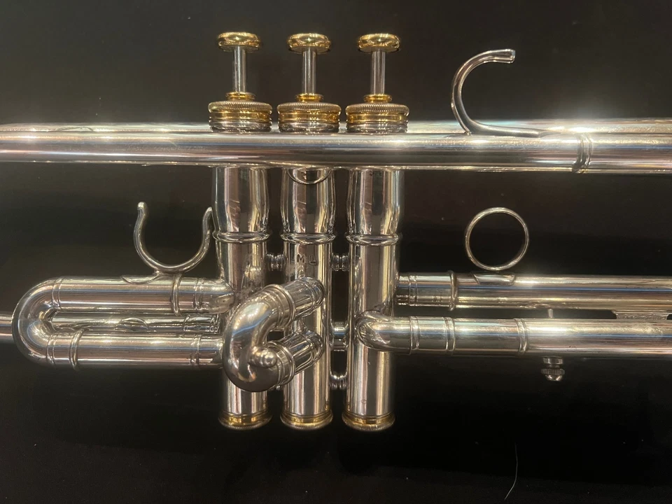 Marcinkiewicz 威猛 (Vermeer) Bb 小号 — 第 4/4 张图片