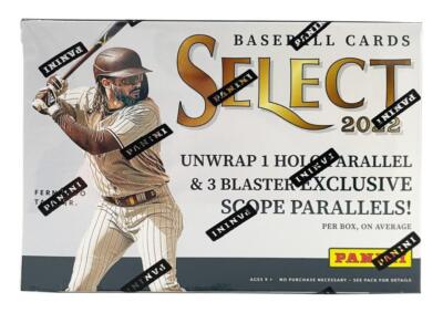 Panini