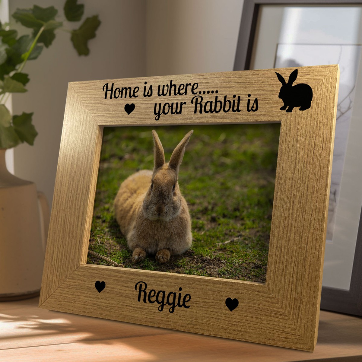 Gambar Frame Rabbit Pet Rabbit Photo Frame