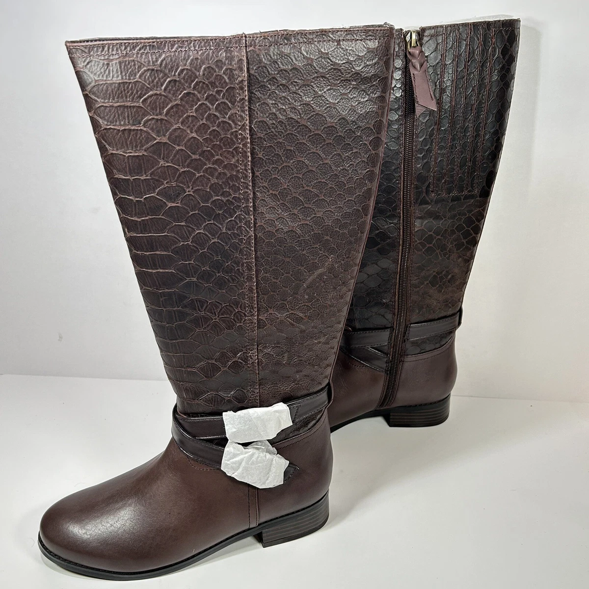Anaconda boots ladies 2025