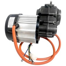 48V 500W 1000W Brushless Differential Motor for Tricycle E-bike Golf ATV Buggies