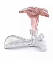 SWAROVSKI Crystal 2019 DESERT ROSE FLOWER Ornament ANNUAL SCS NEW OLD  STOCK