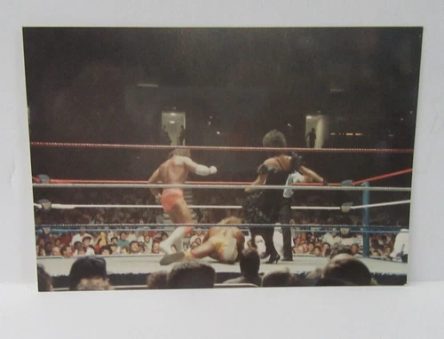 WWF Macho Man & Hulk Hogan Original Type 1 WWF WWE Wrestling Ringside 1988/89