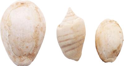 Neolithic & Paleolithic - 4000 Bc