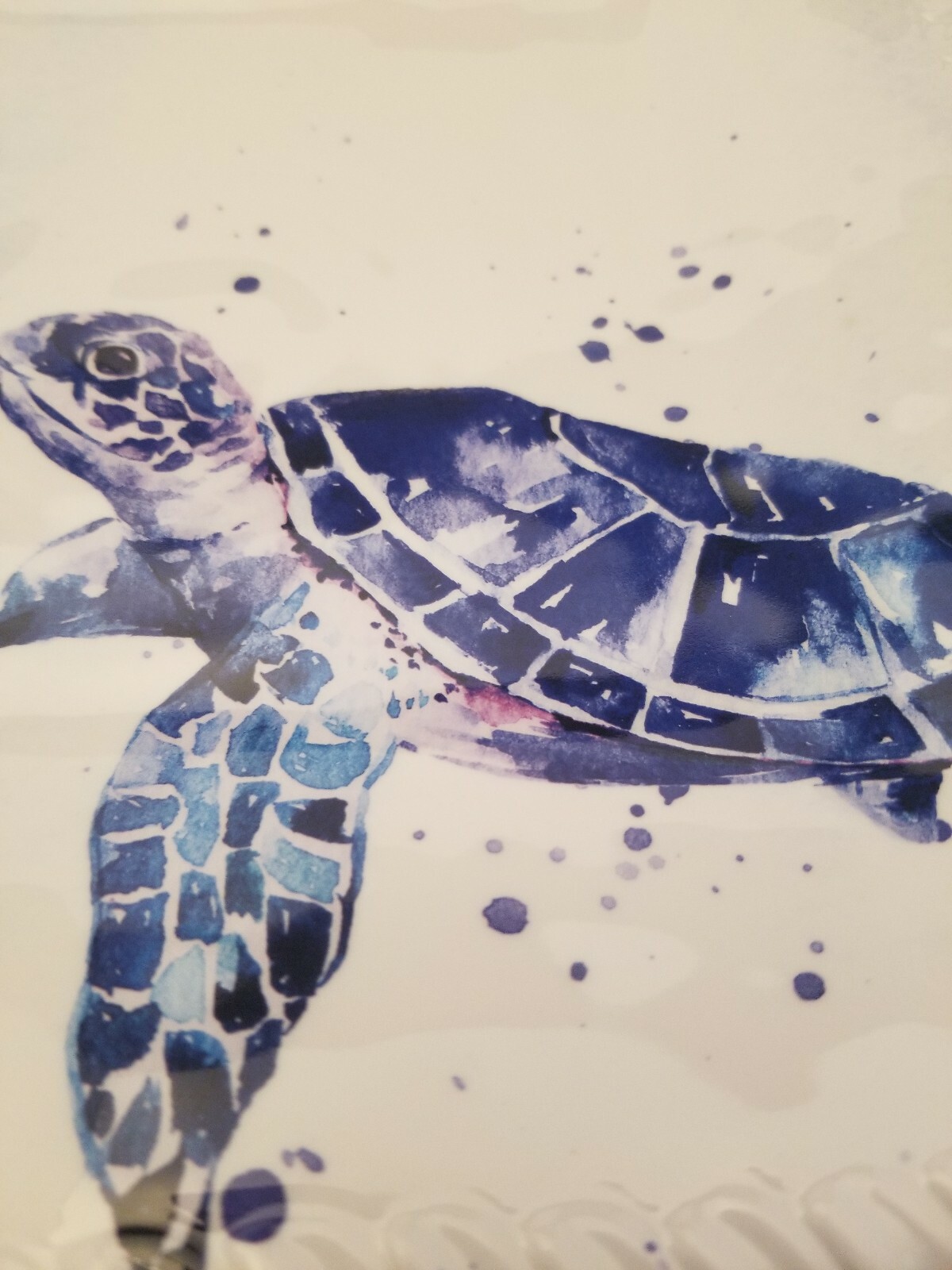 coastal collection outdoor living sea turtle melamine dinnerware on Set 4 Secret Celebrity Sea Turtle Square Dinner Plate Melamine Blue Outdoor For Sale Online Ebay