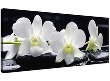 Black White Cheap Canvas Art of White Lily Flowers 1051