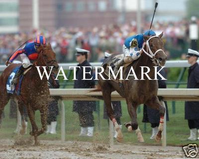 SMARTY JONES 2004 Kentucky Derby Winner Horse Racing 8 x 10 Photo Race Man Cave