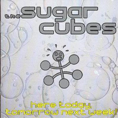 The Sugarcubes Here Today, Tomorrow Next Week (CD) Album