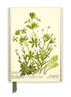 Rbge - Charlotte Cowan Pearson - Stellaria Nemorum Notebook (Flame Tree Notebook