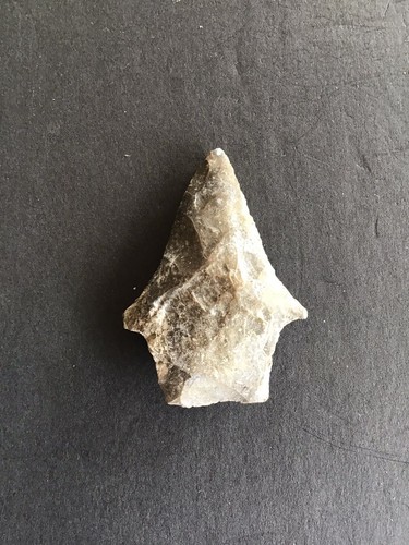 5- Lochloosa,Florida Indian Arrowheads H- 2 5/8in. - 1 1/2in. - Imagen 5 de 12