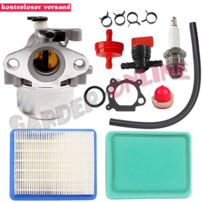 Vergaser für Briggs & Stratton 799866 790845 799871 796707 794304 Toro Craftsman
