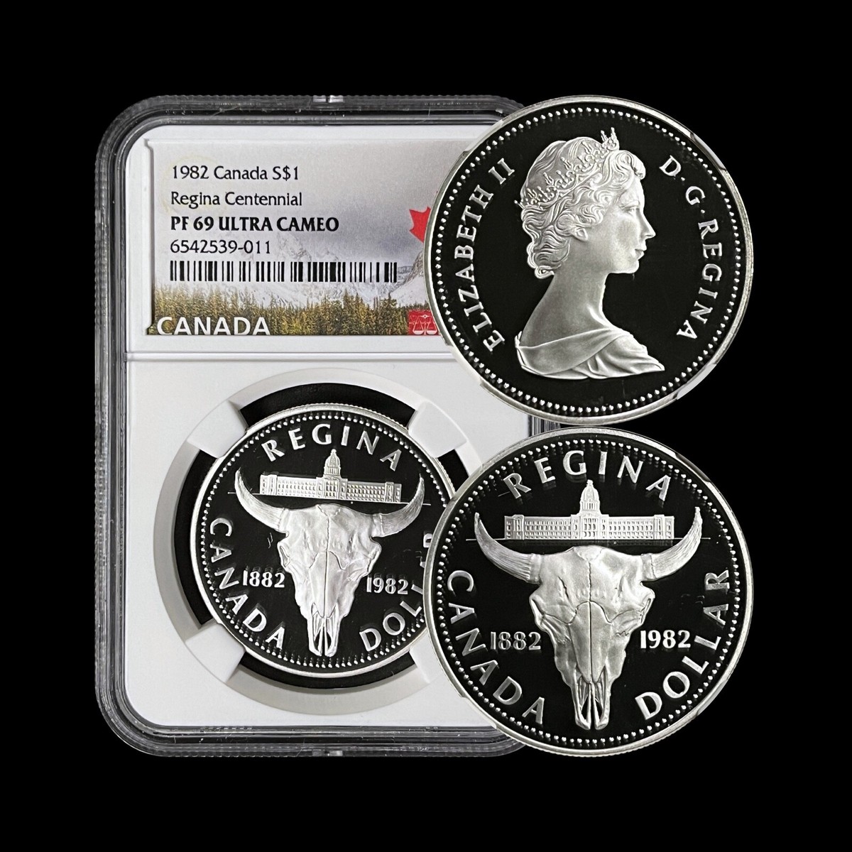 1982年 カナダ ヤングエリザベス 銀貨 NGC PF69 1ドル シルバー 1982年 カナダ ヤングエリザベス 銀貨 NGC PF69 1ドル シルバー