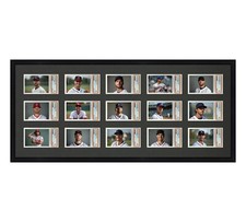 PSA Graded Card Frame Display Holds (15) Slabs Baseball, UV Protection optional