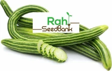 Cucumber Armenian Striped GROW Your Own as it’s Easy & Satisfying 5 Seeds