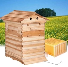 Wooden Beekeeping Beehive House Box + 7PCS Automatic Honey Bee Comb Hive Frame